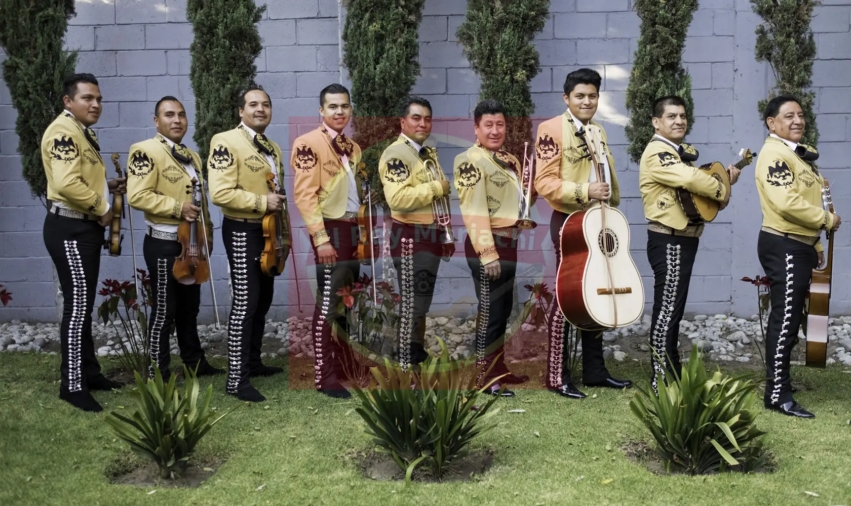 servicio de mariachi en Chimalhuacán 