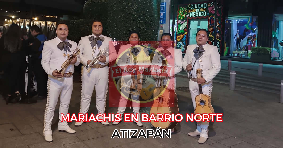 servicio de mariachi en barrio Norte