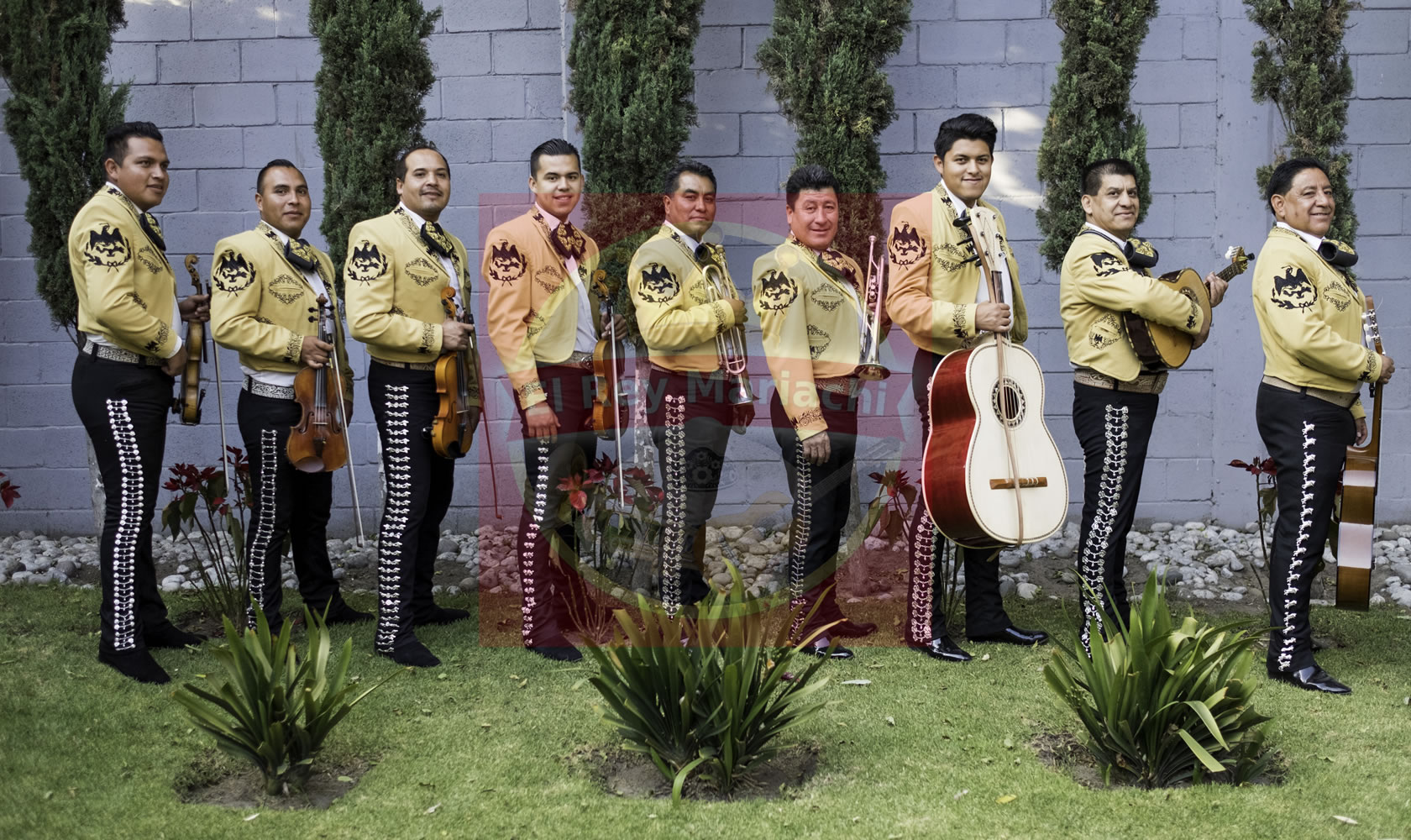 servicio de mariachi en Parque Industrial San Antonio